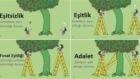 Eğitimde Eşitlik ve Adalet: Fırsat Eşitliği İçin Atılan Adımlar