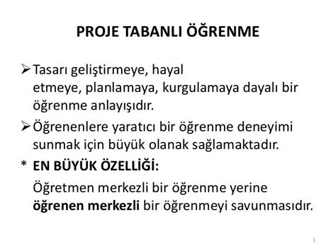 Eğitimde Proje Tabanlı ve Deneyime Dayalı Öğrenme Yaklaşımları